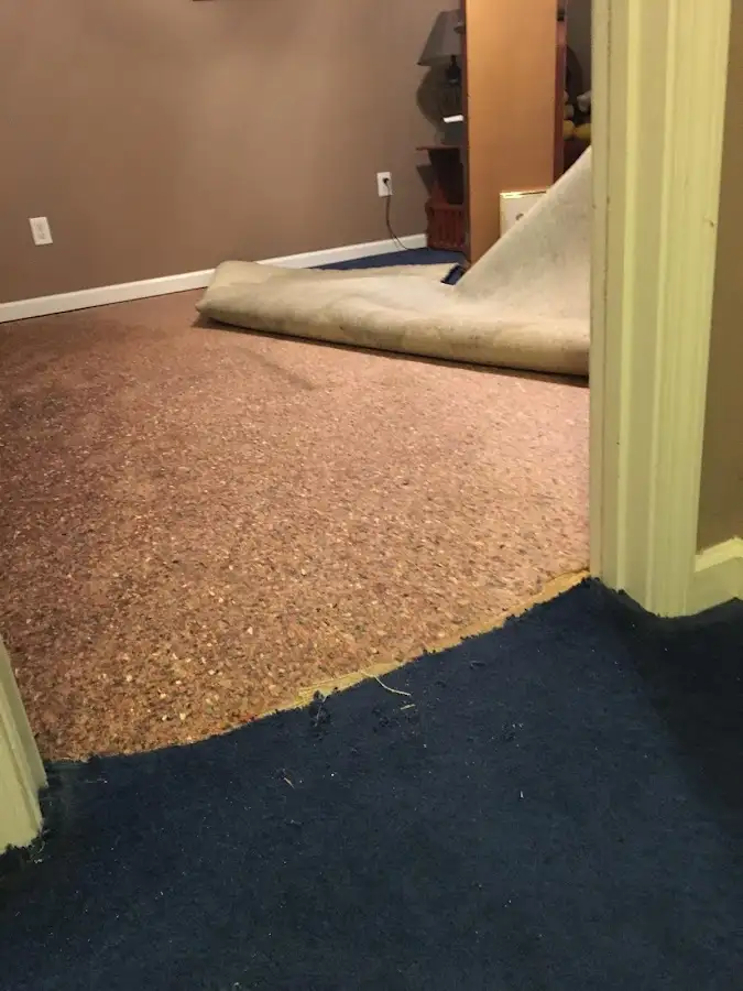 Carpet pad removal revealing water damage during Water Mitigation Services in Newbury